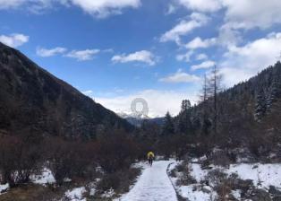 何事秋风悲画扇出自哪里
