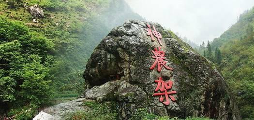 冰球突破游戏网站